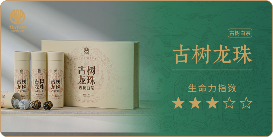 古树龙珠-白茶