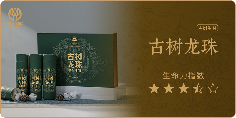 古树龙珠-生茶