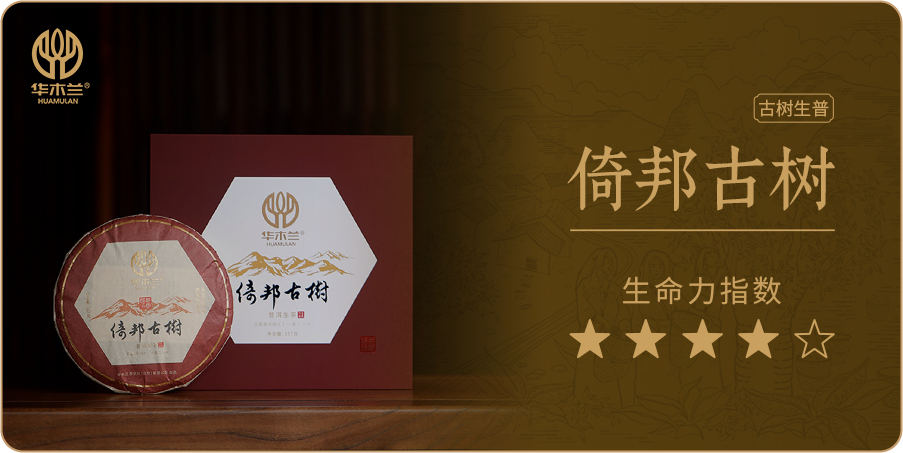 倚邦古树