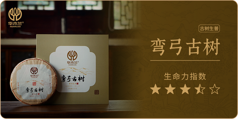 弯弓古树