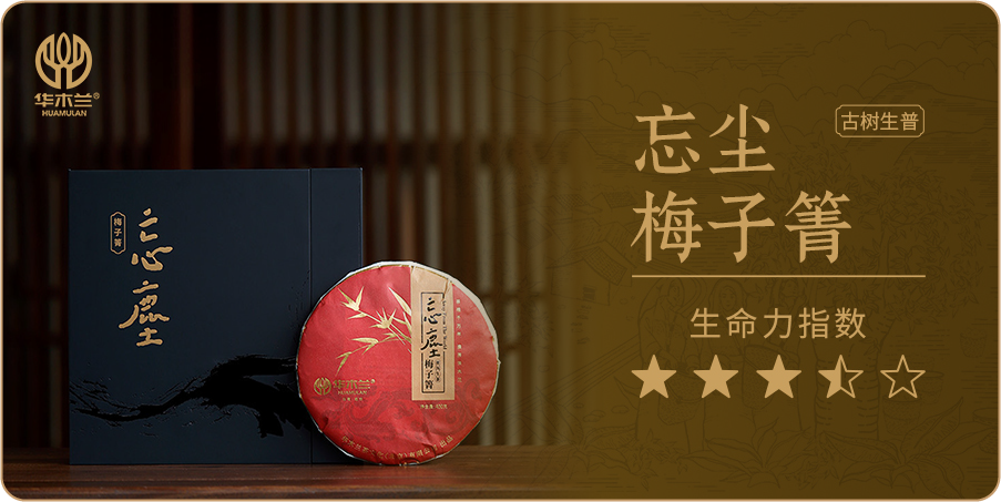 忘尘梅子箐古树