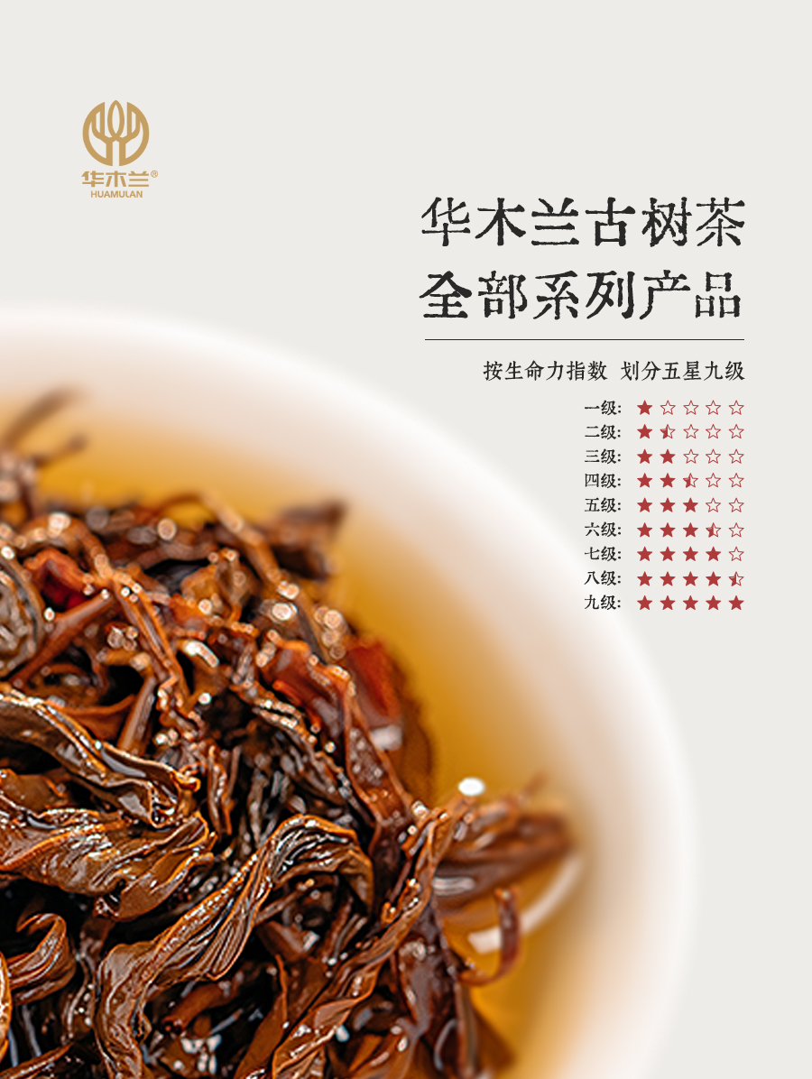 华木兰用“五星九级”给您一杯看得见的生命力之茶